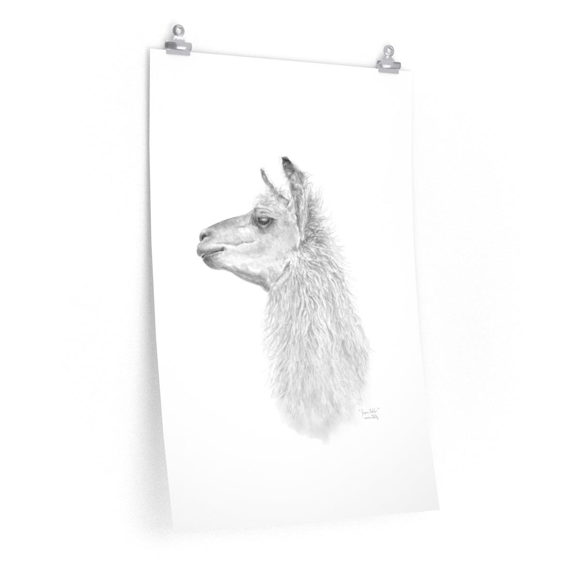JUAN PABLO Llama- Art Paper Print