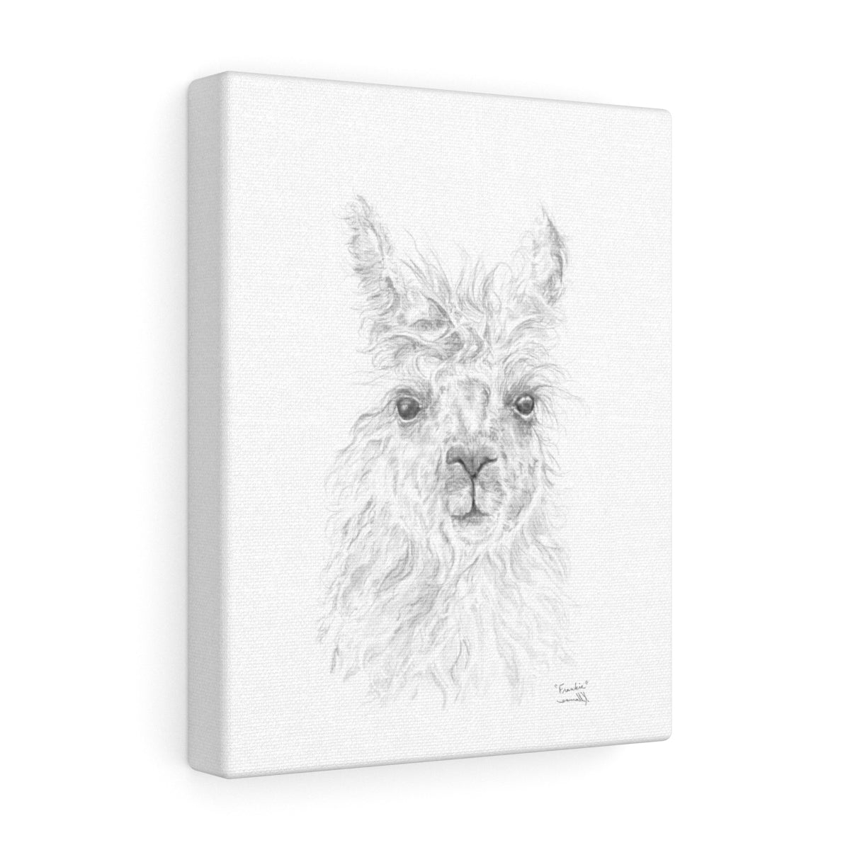 FRANKIE Llama - Art Canvas