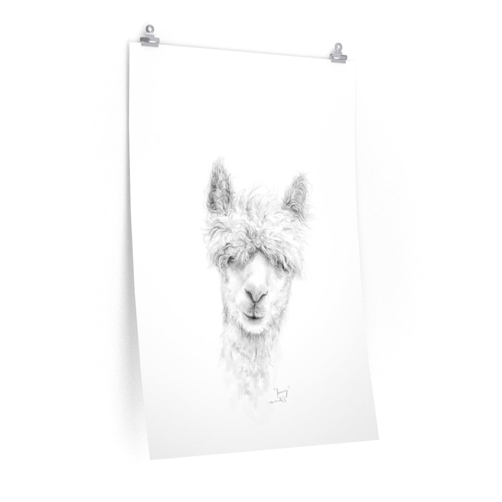 JENNY Llama- Art Paper Print