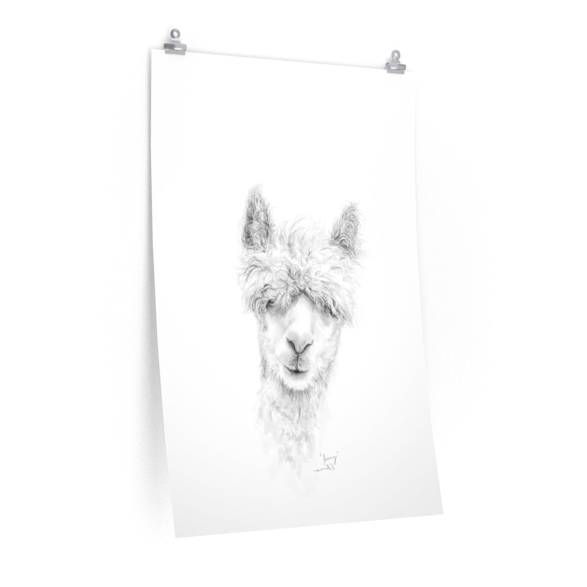 JENNY Llama- Art Paper Print