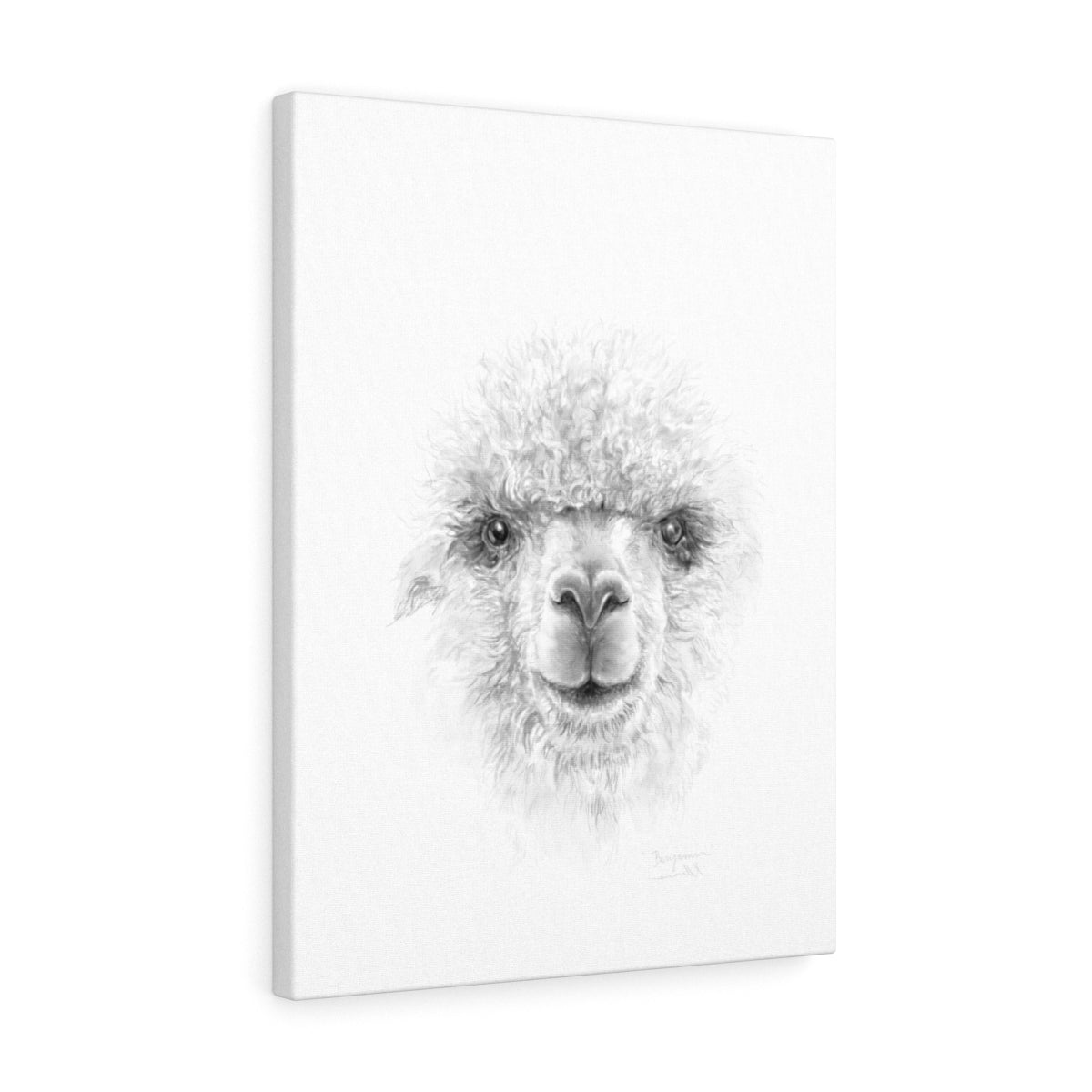 BENJAMIN Llama - Art Canvas