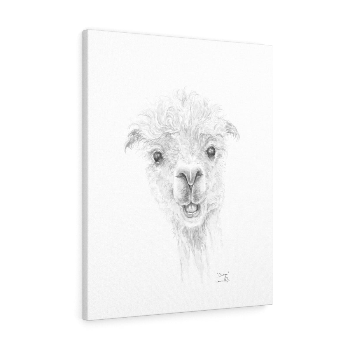 GEORGE Llama - Art Canvas