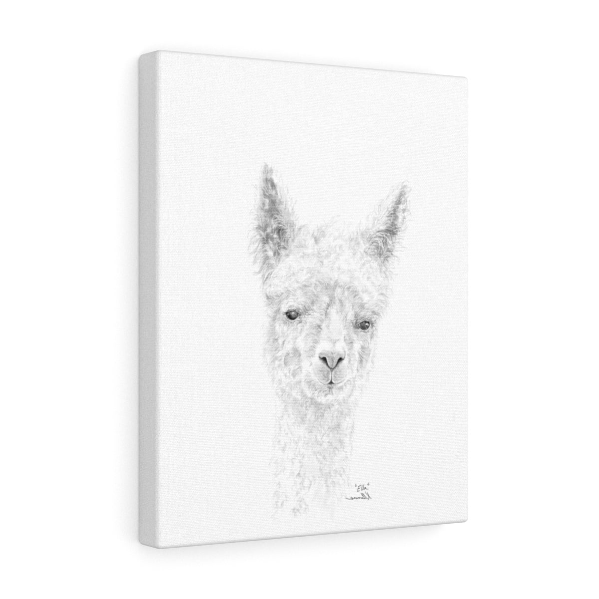 ELLA llama- Art Canvas