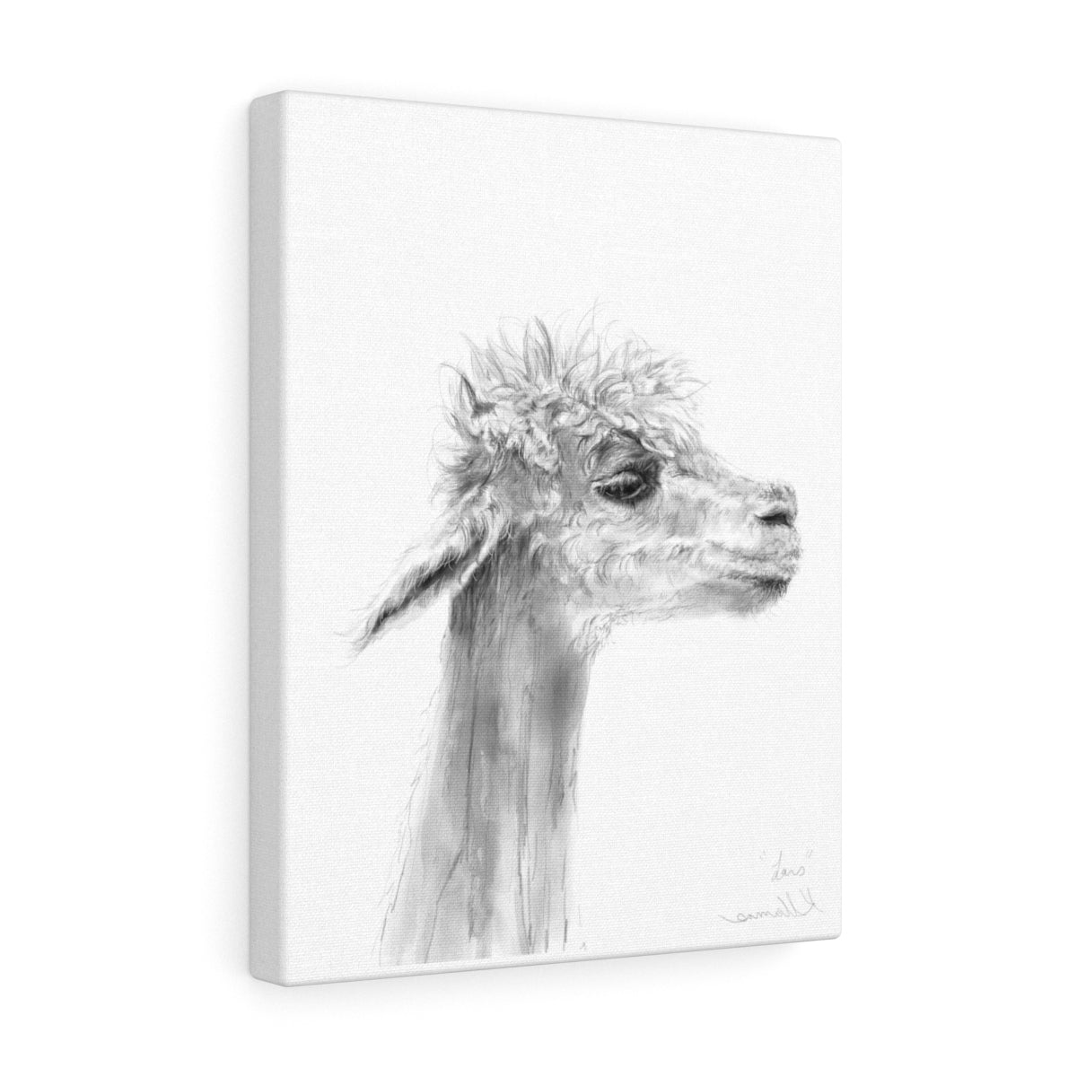 LARS Llama - Art Canvas