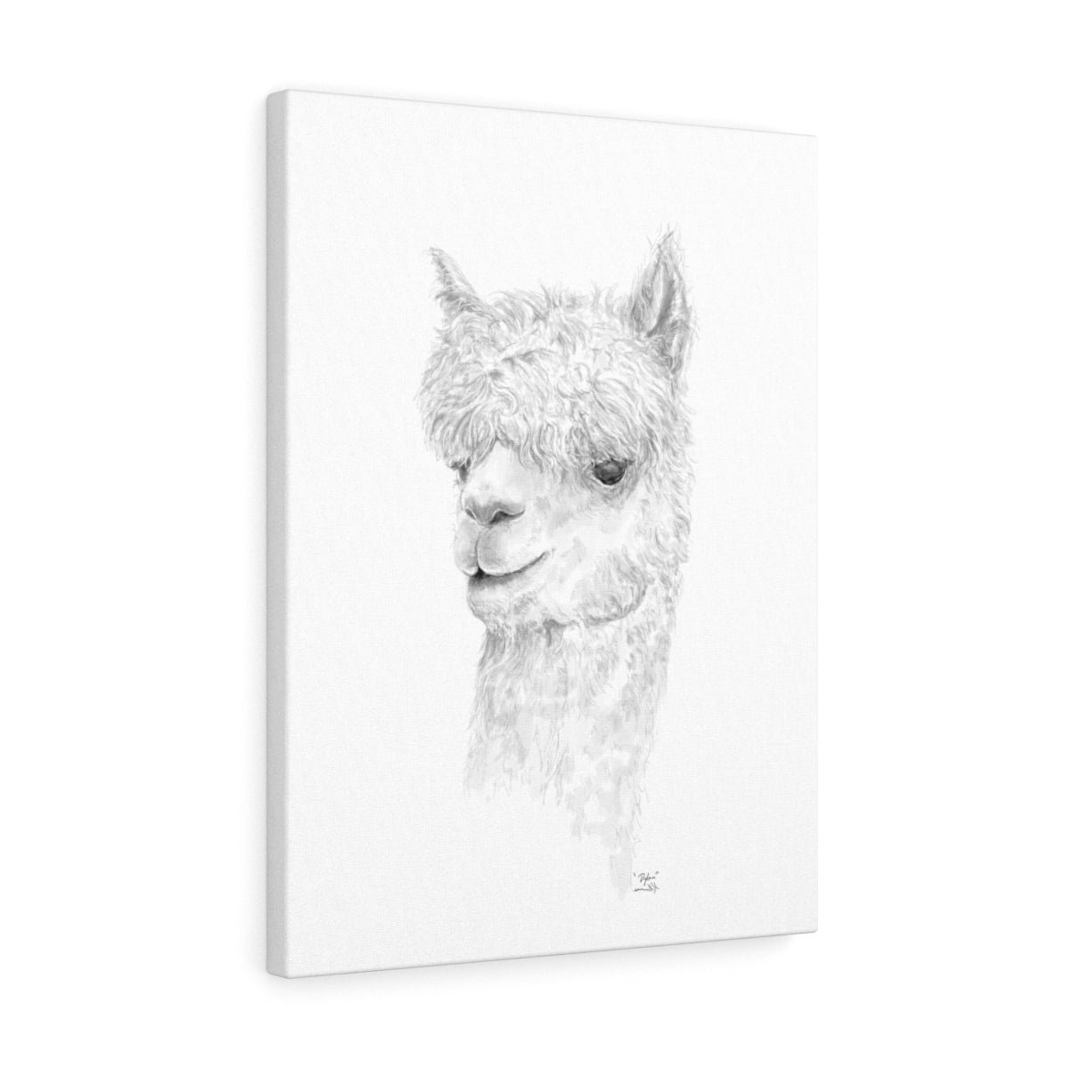 DYLAN Llama - Art Canvas