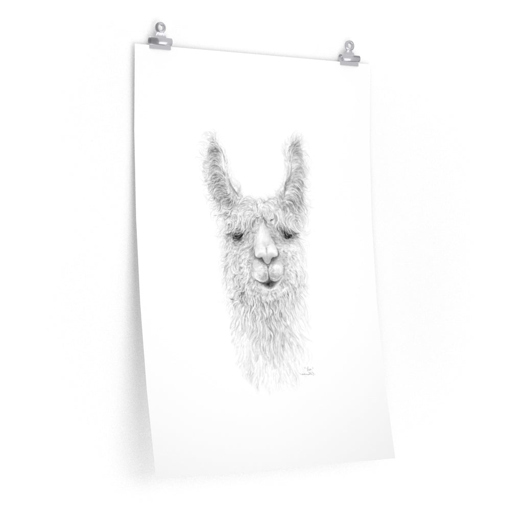 LEA Llama- Art Paper Print