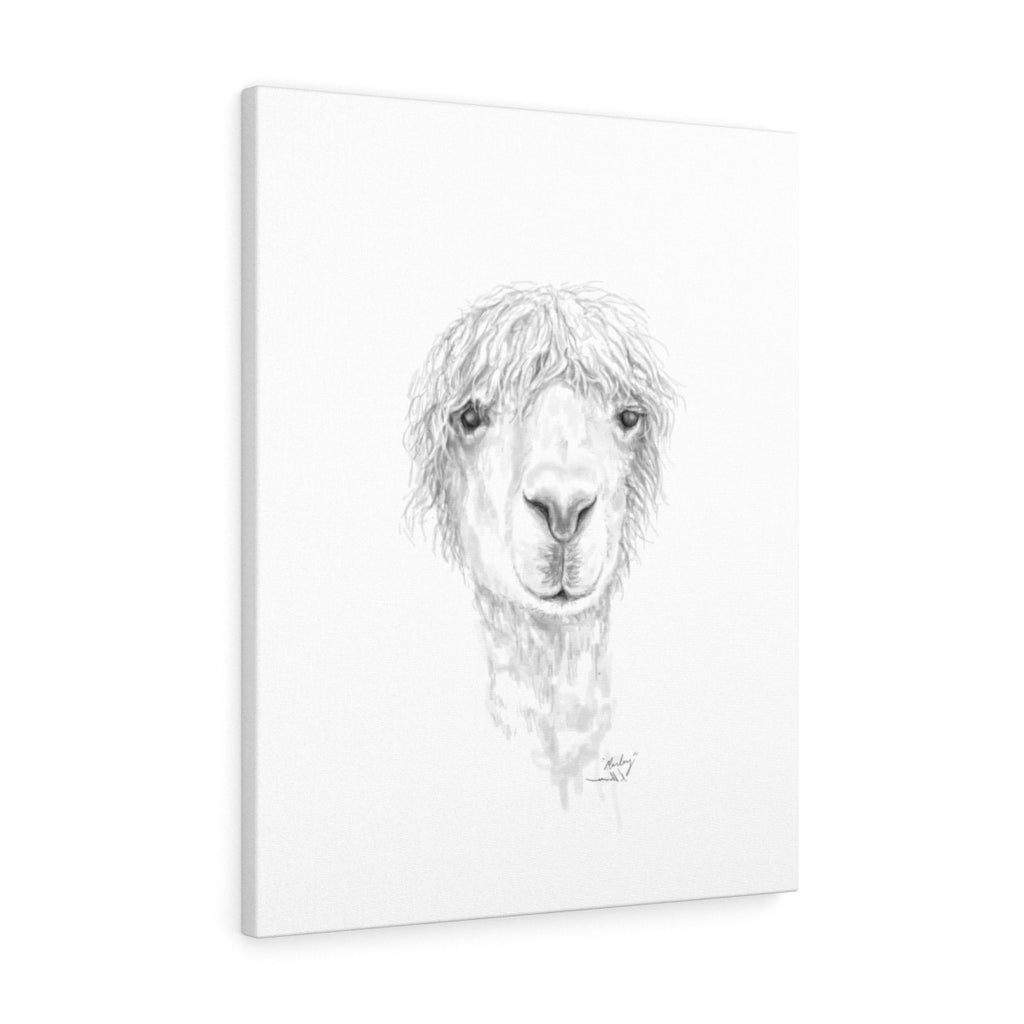 MARLEY Llama - Art Canvas