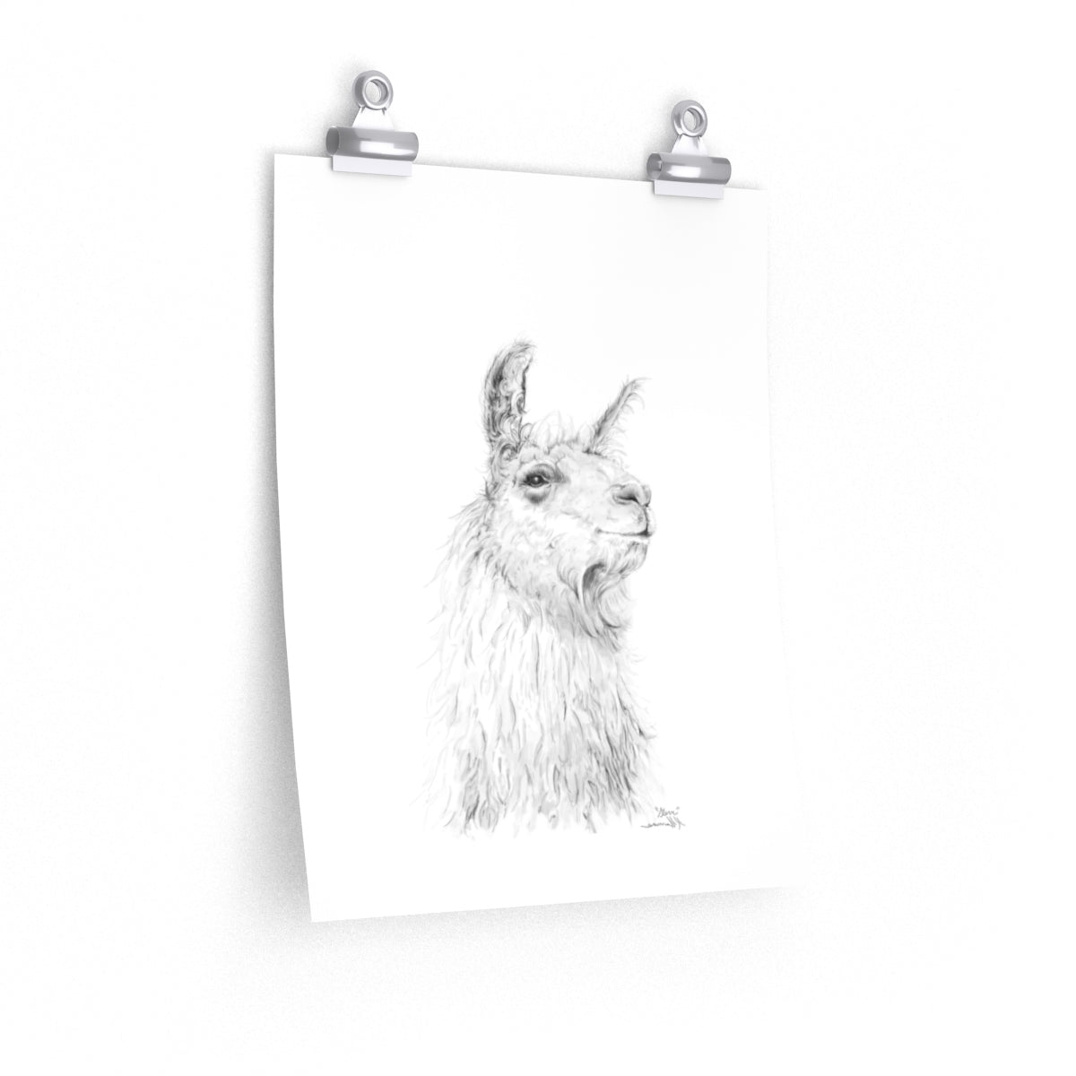 STEVE Llama- Art Paper Print
