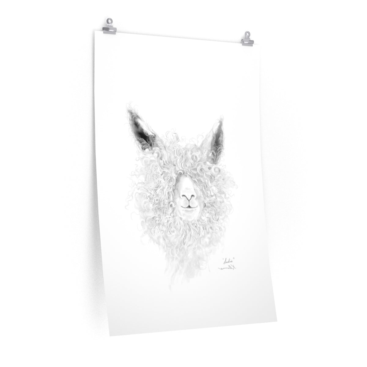 LESLIE Llama- Art Paper Print