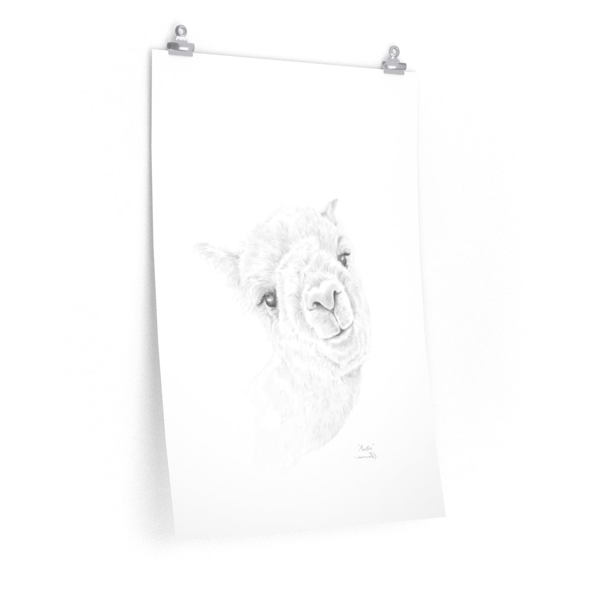 MARTHA Llama- Art Paper Print