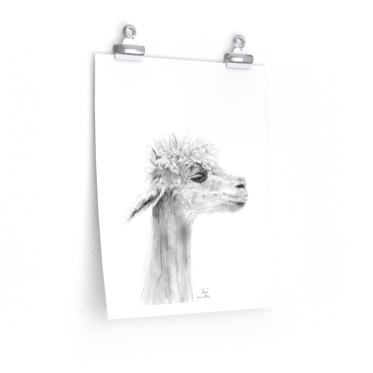 LARS Llama- Art Paper Print