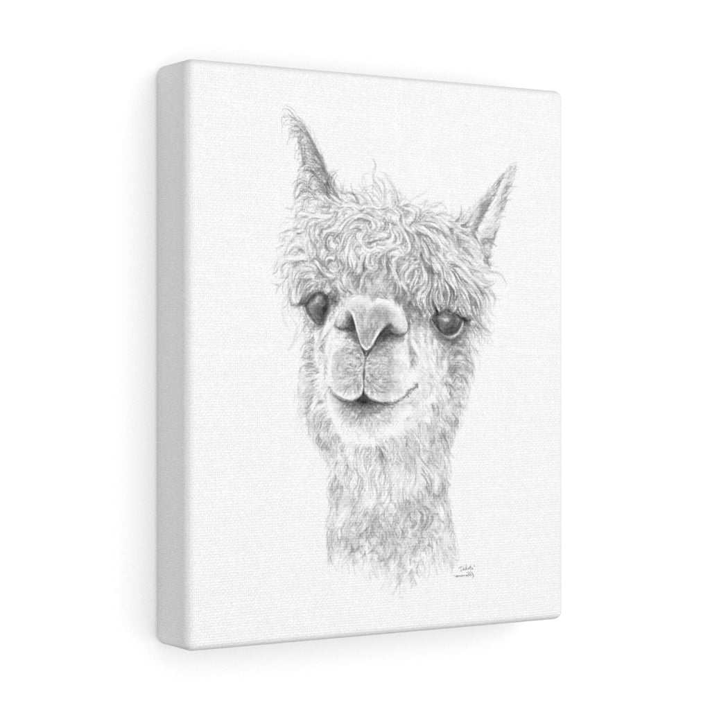 DAKOTA Llama - Art Canvas