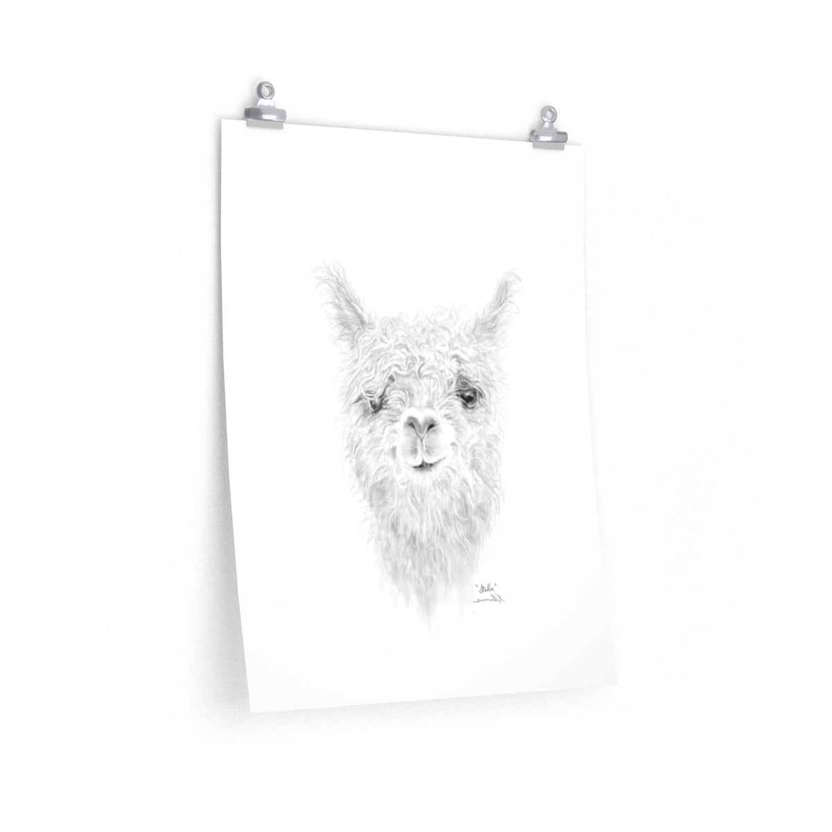STELLA Llama- Art Paper Print