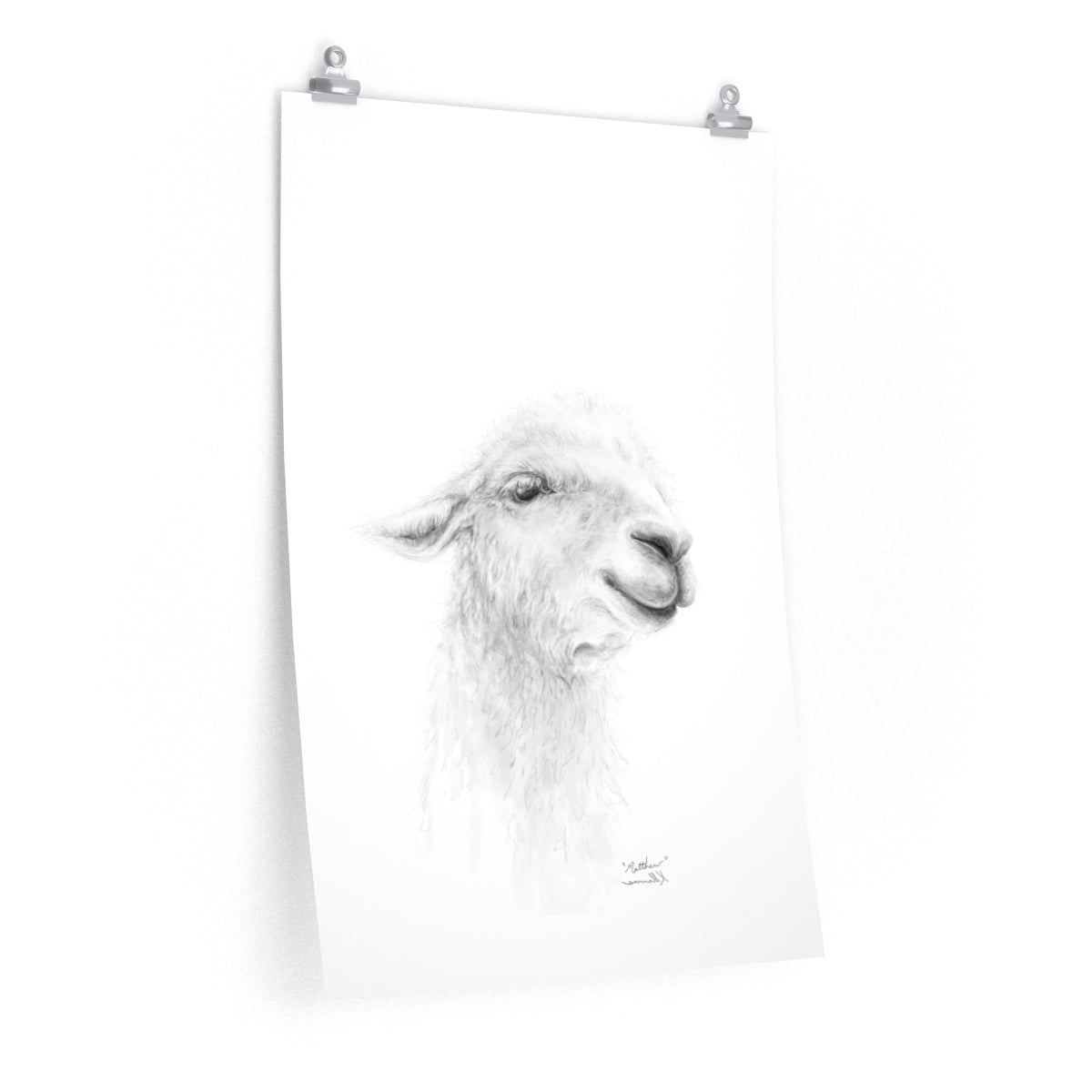 MATTHEW Llama- Art Paper Print