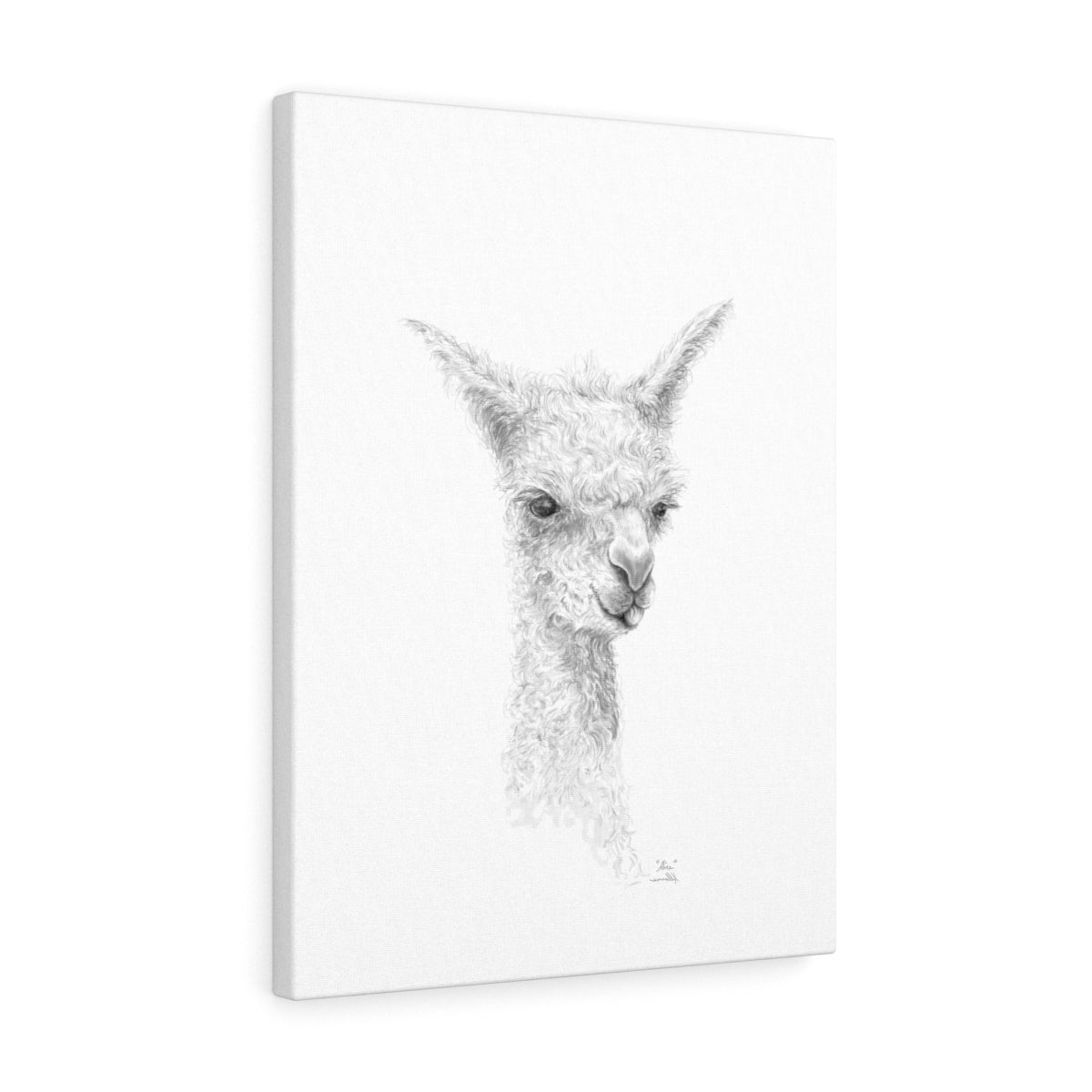 ALICE Llama - Art Canvas