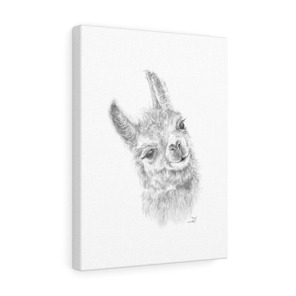 Posey Llama - Art Canvas