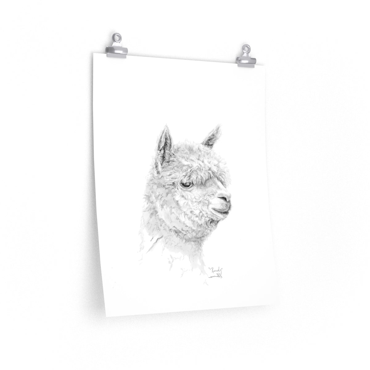 RANDY Llama- Art Paper Print