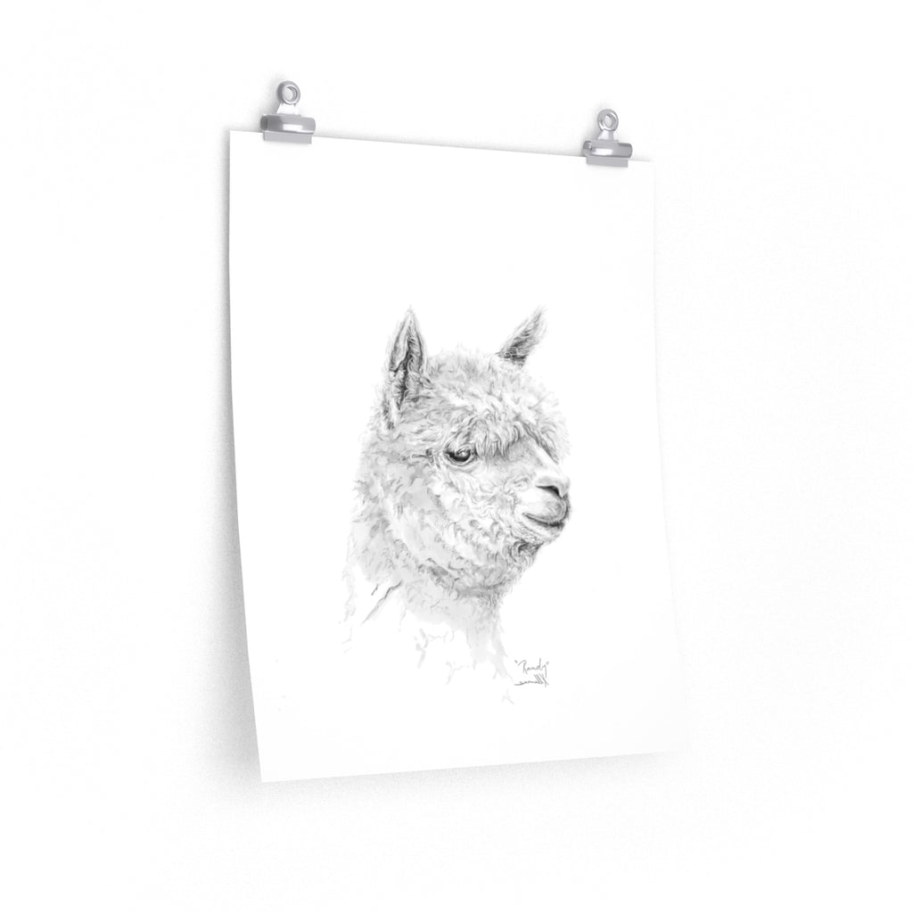 RANDY Llama- Art Paper Print