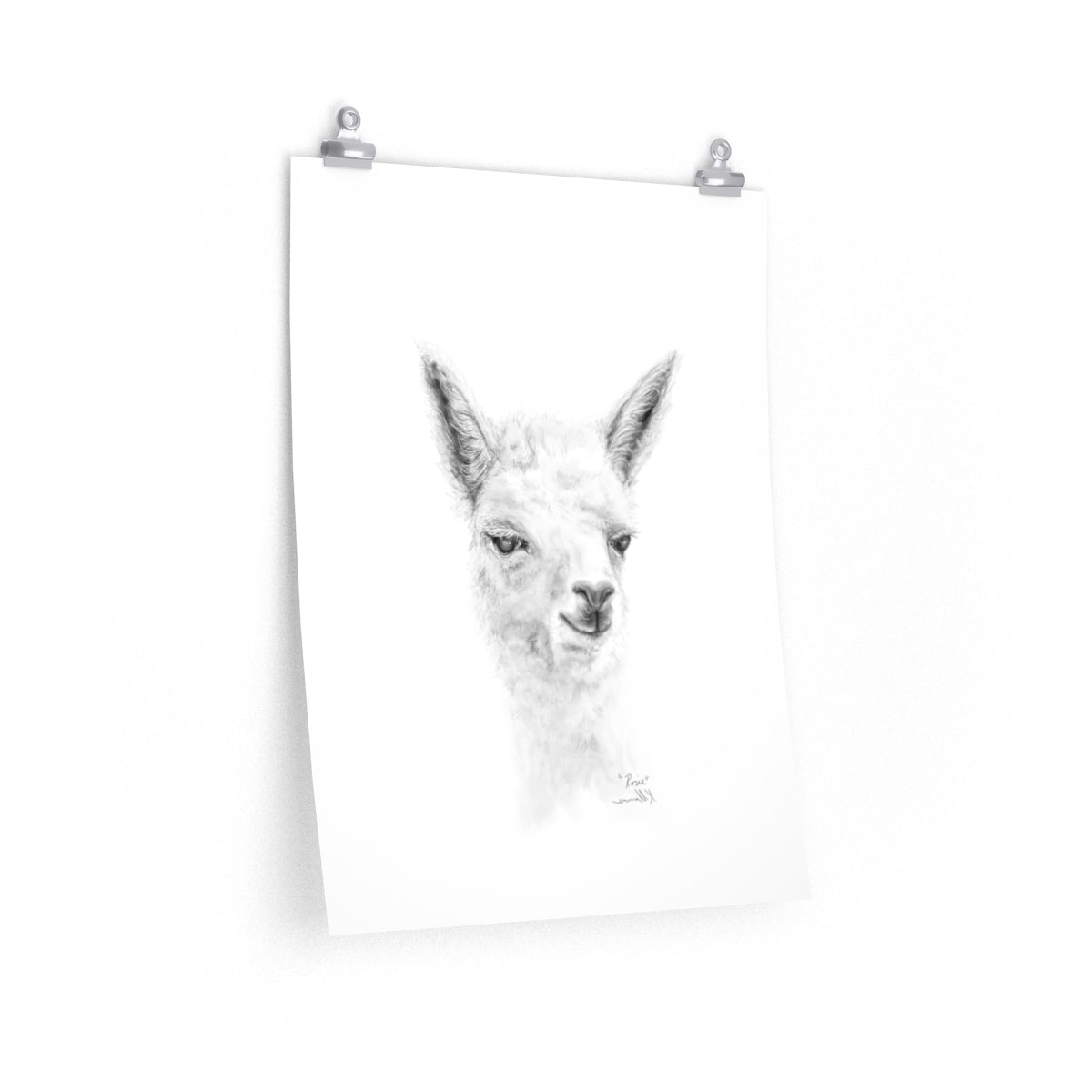 ROSIE Llama- Art Paper Print