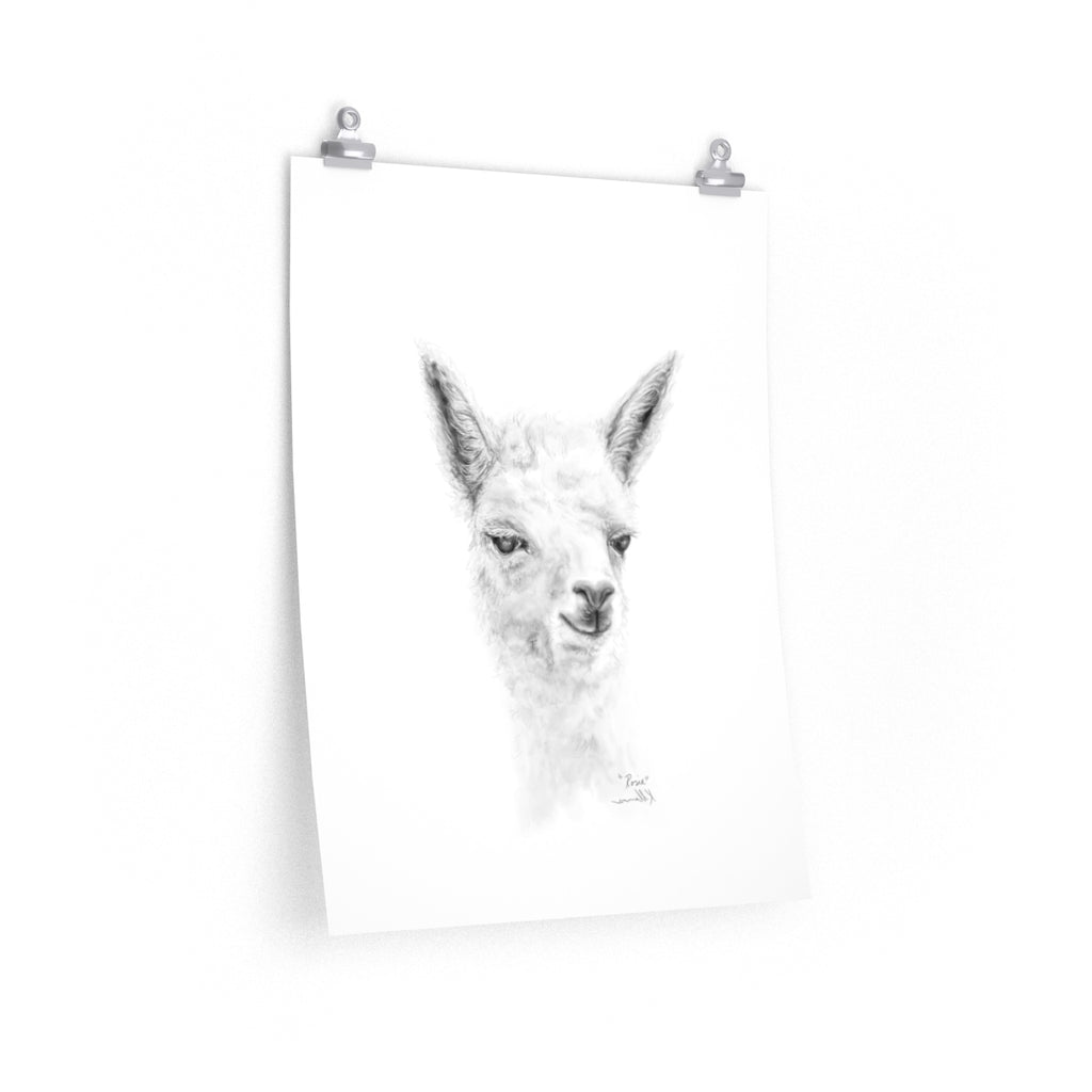 ROSIE Llama- Art Paper Print