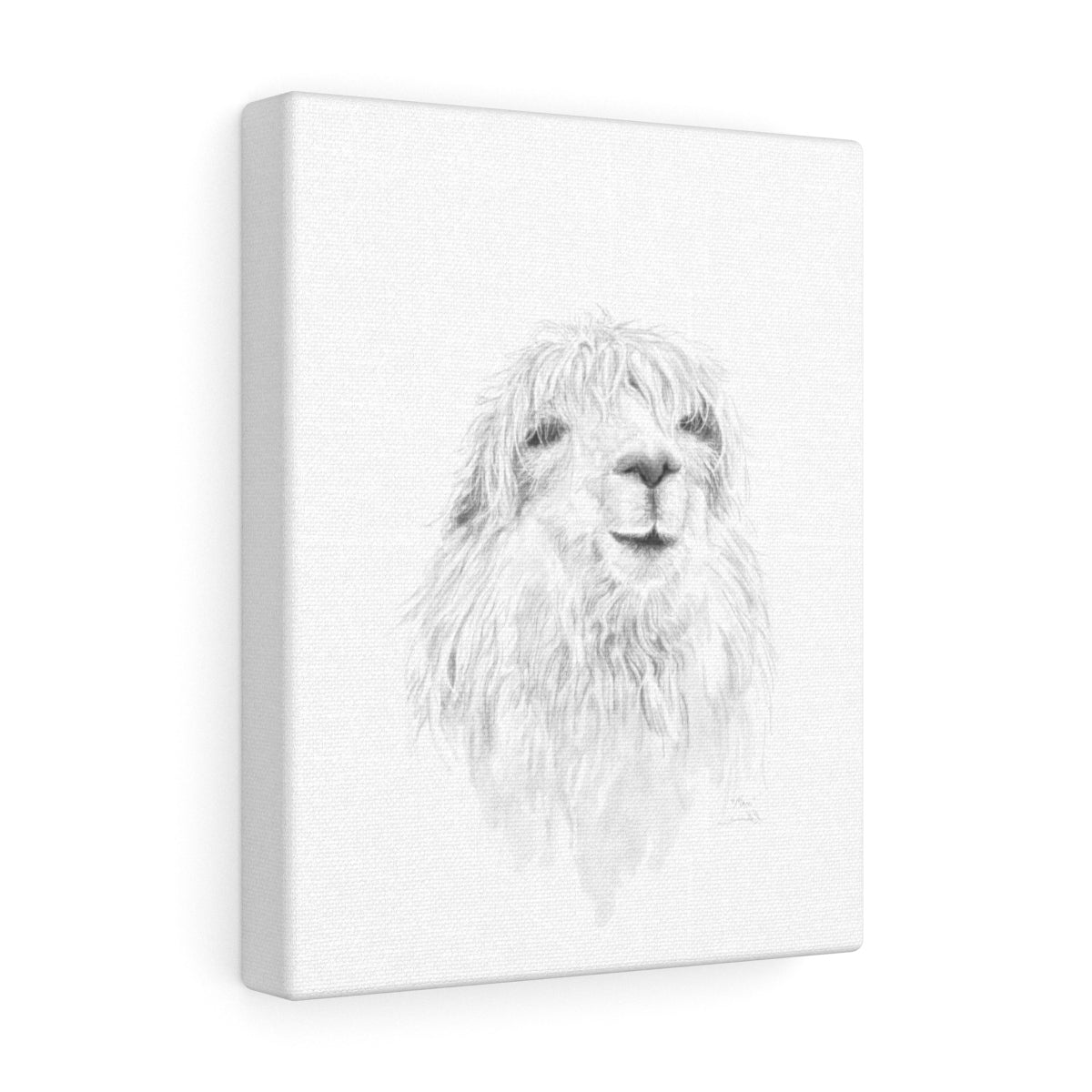 MAX Llama - Art Canvas