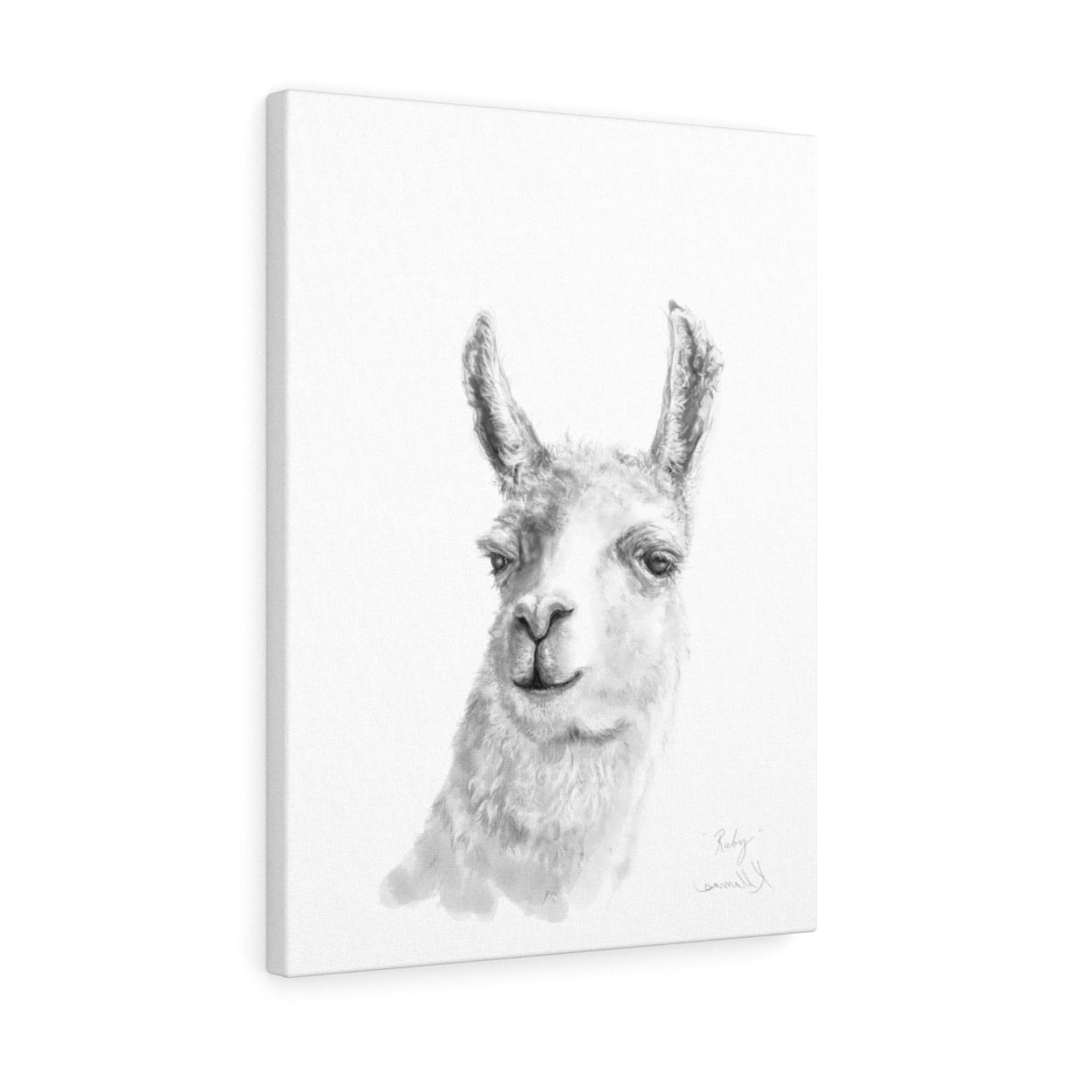 RUBY Llama - Art Canvas
