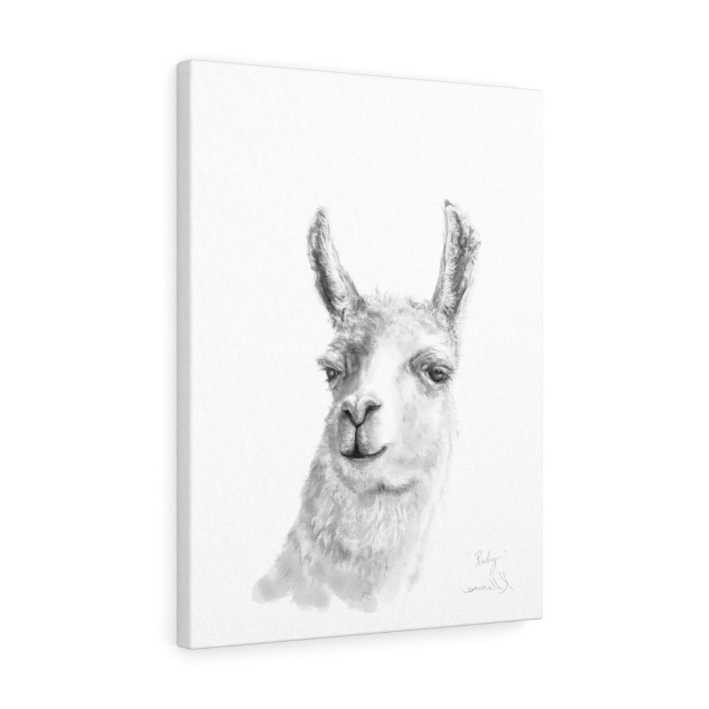 RUBY Llama - Art Canvas