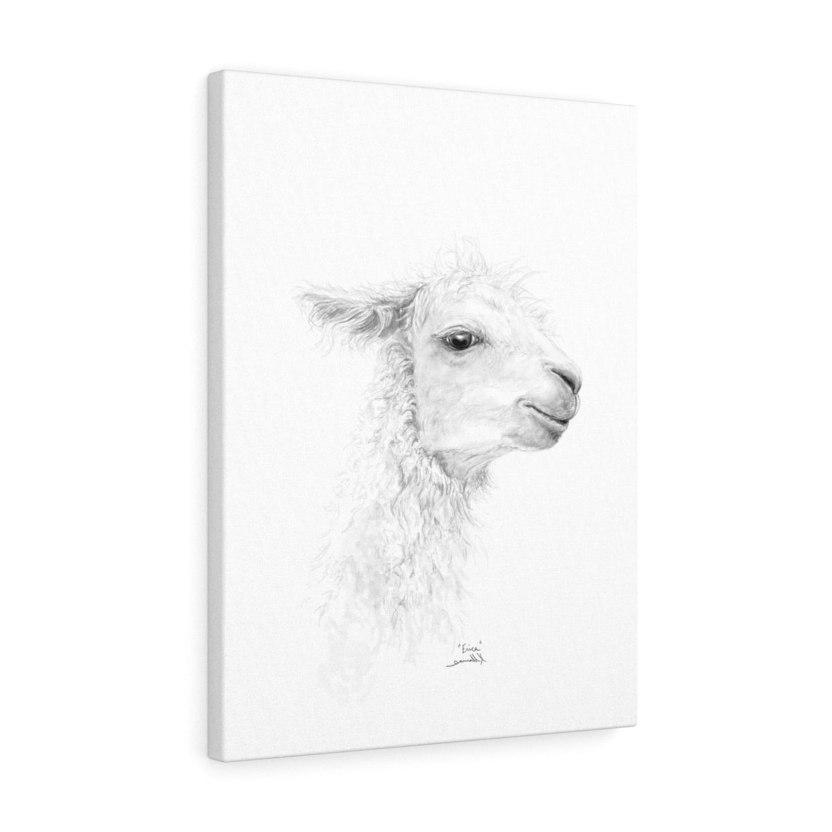 ERICA Llama - Art Canvas