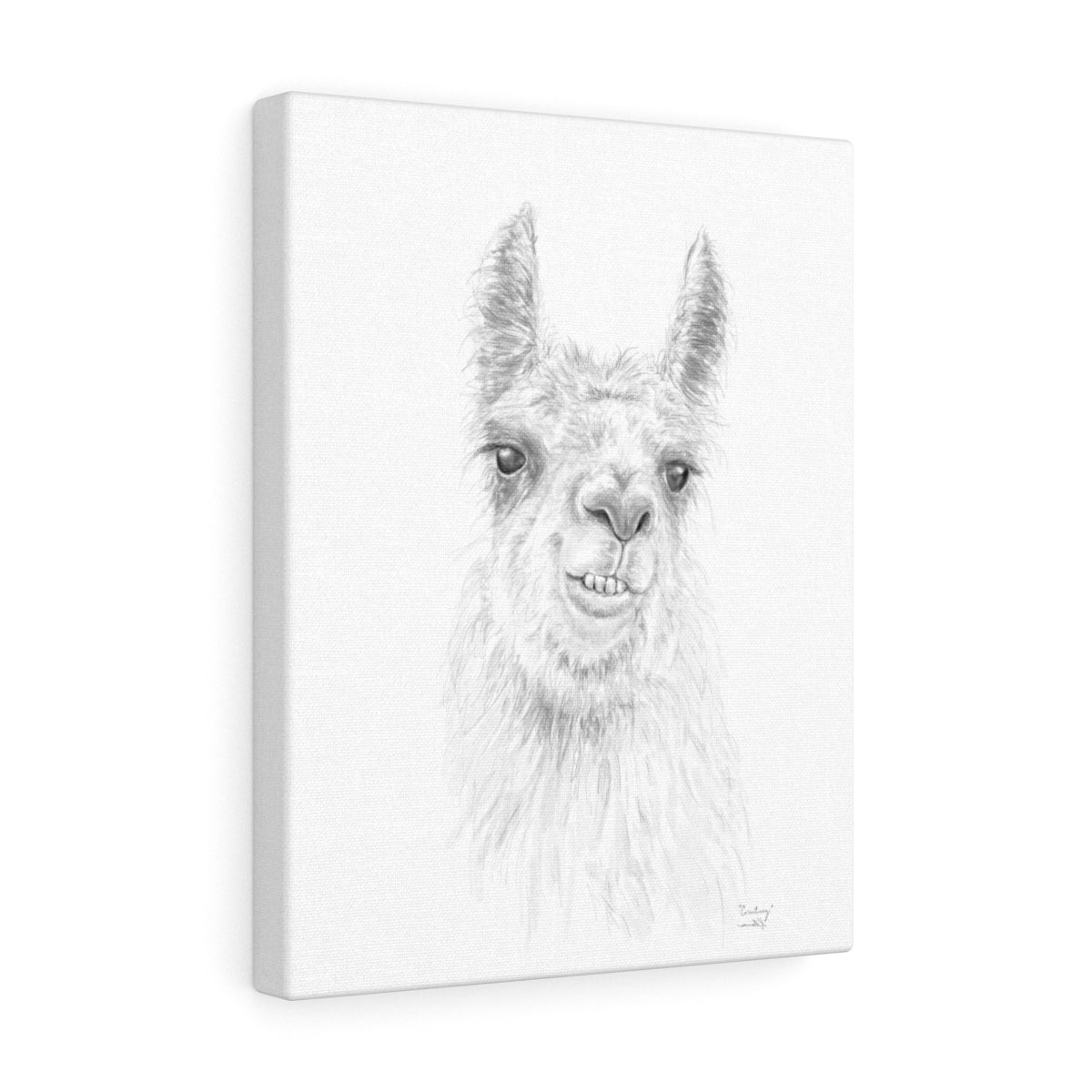 COURTNEY Llama - Art Canvas