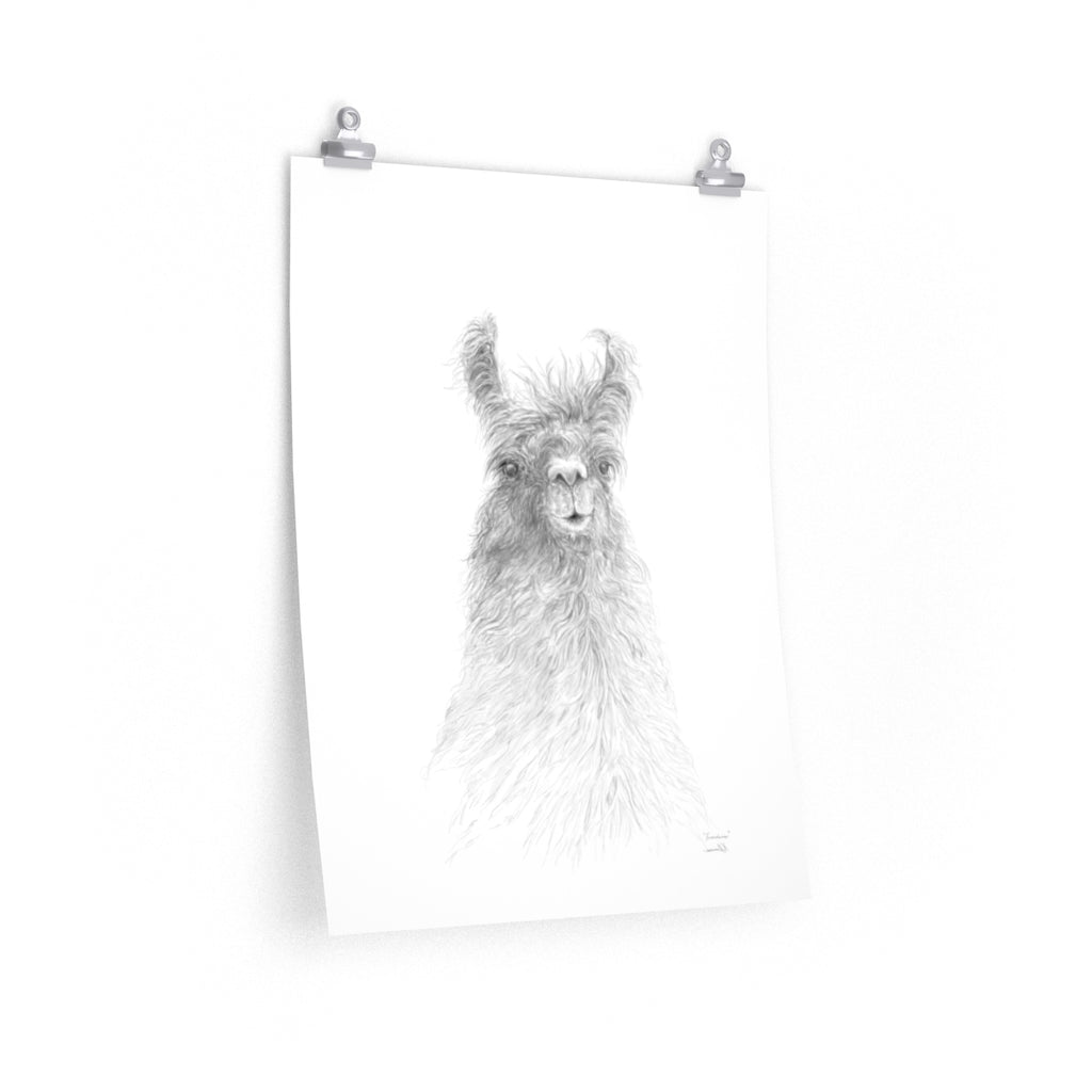 FRANCINE Llama- Art Paper Print