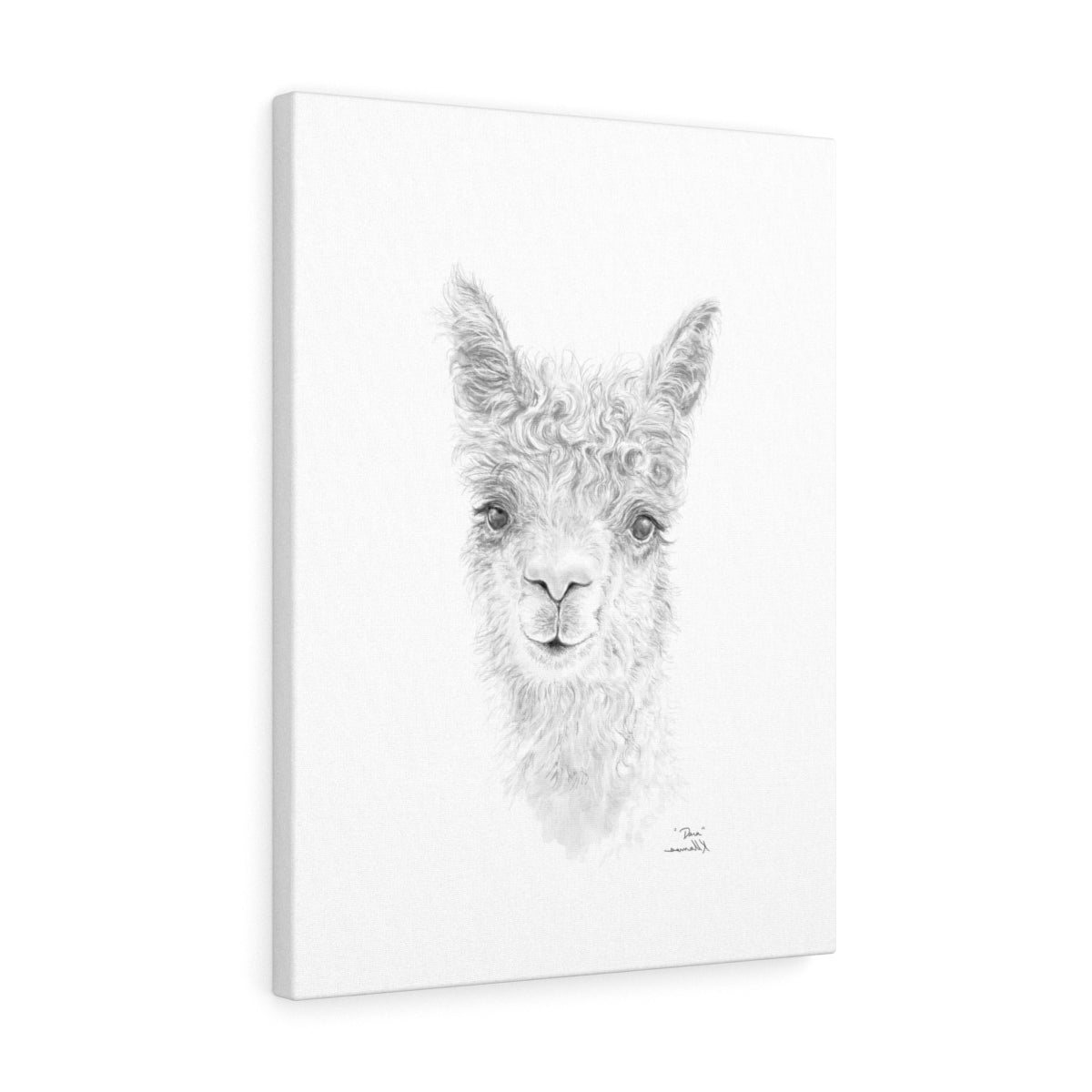 DARA llama- Art Canvas