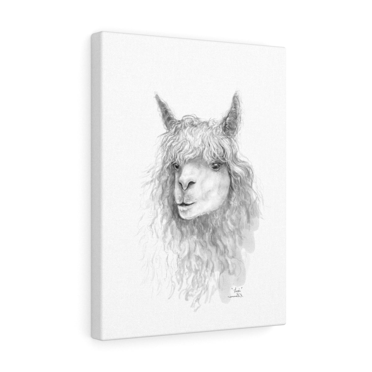 LEXI Llama - Art Canvas