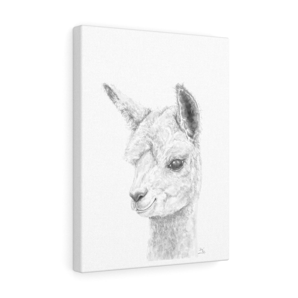 SKY Llama - Art Canvas
