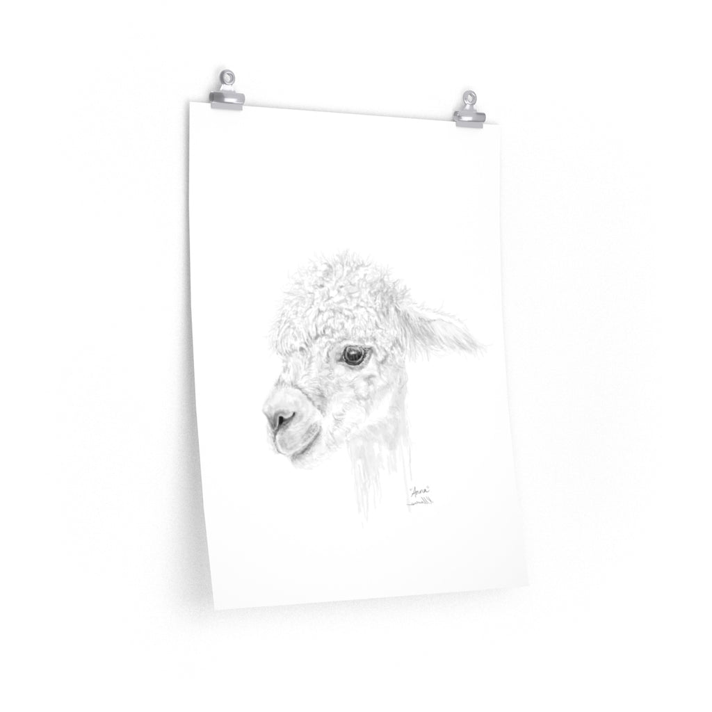 ANNA Llama- Art Paper Print