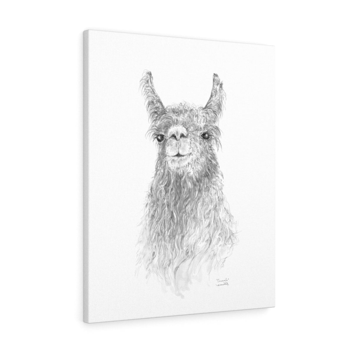 CONSWALA Llama- Art Canvas