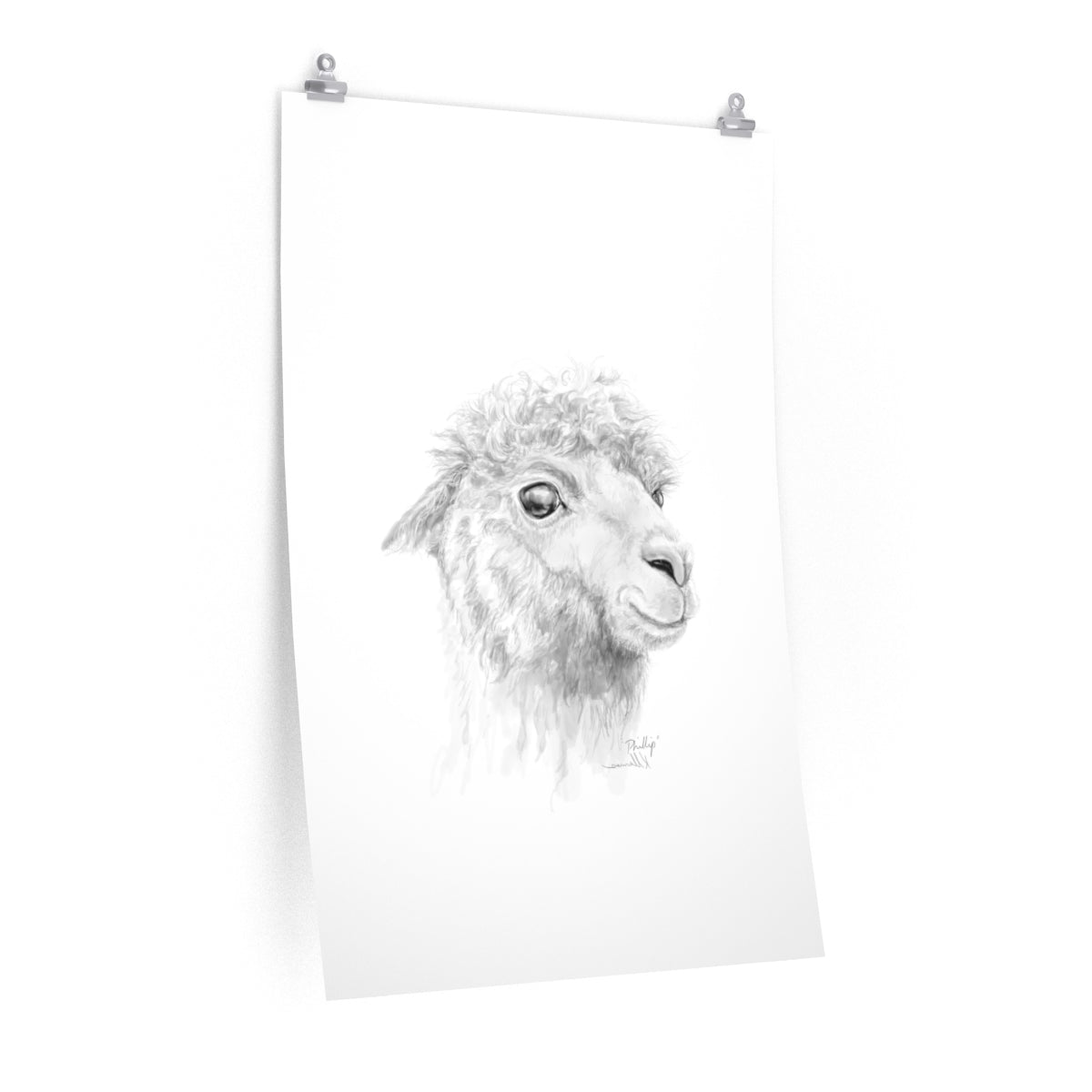 PHILLIP Llama- Art Paper Print