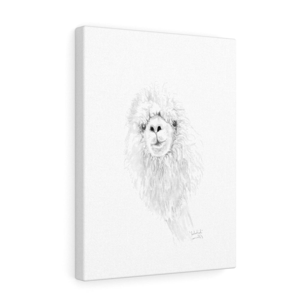 JEDADIAH Llama - Art Canvas