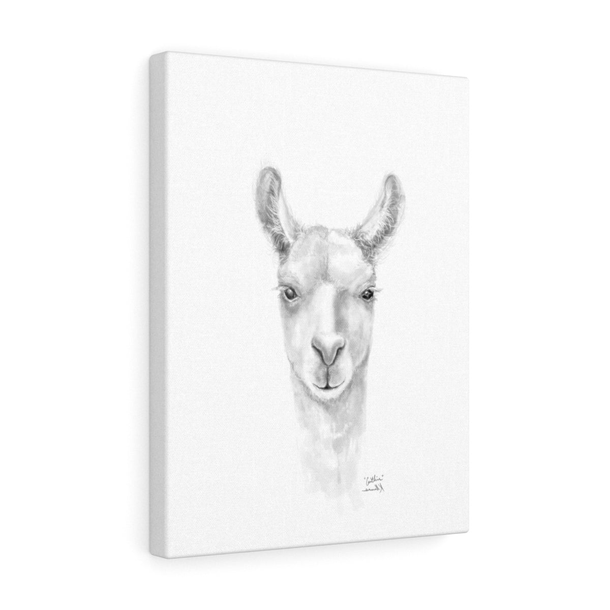 CAITLIN Llama - Art Canvas