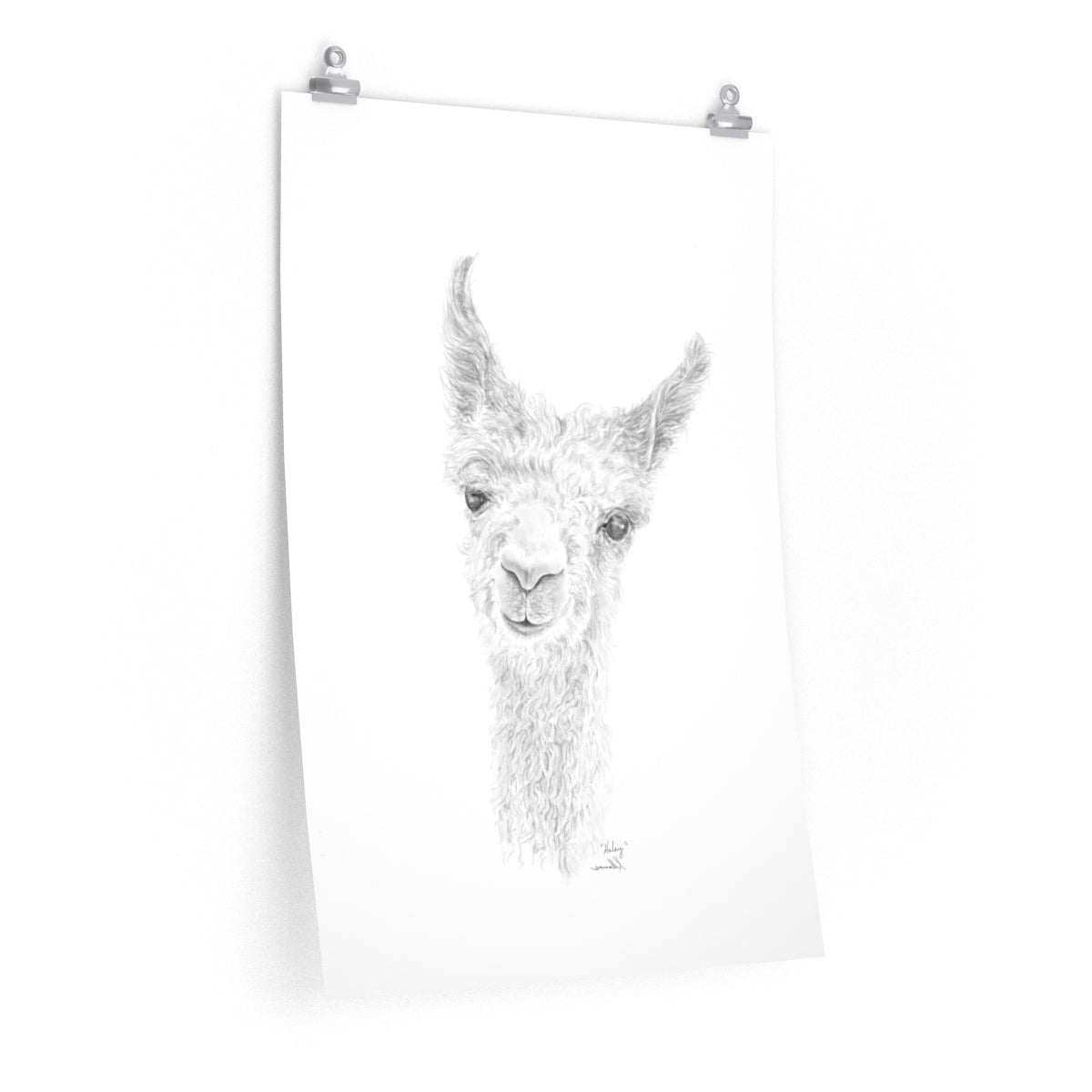 HALEY Llama- Art Paper Print