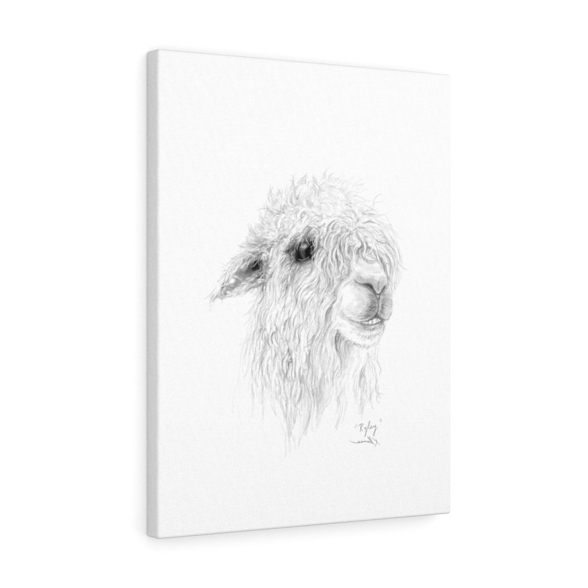 RYLEY Llama - Art Canvas