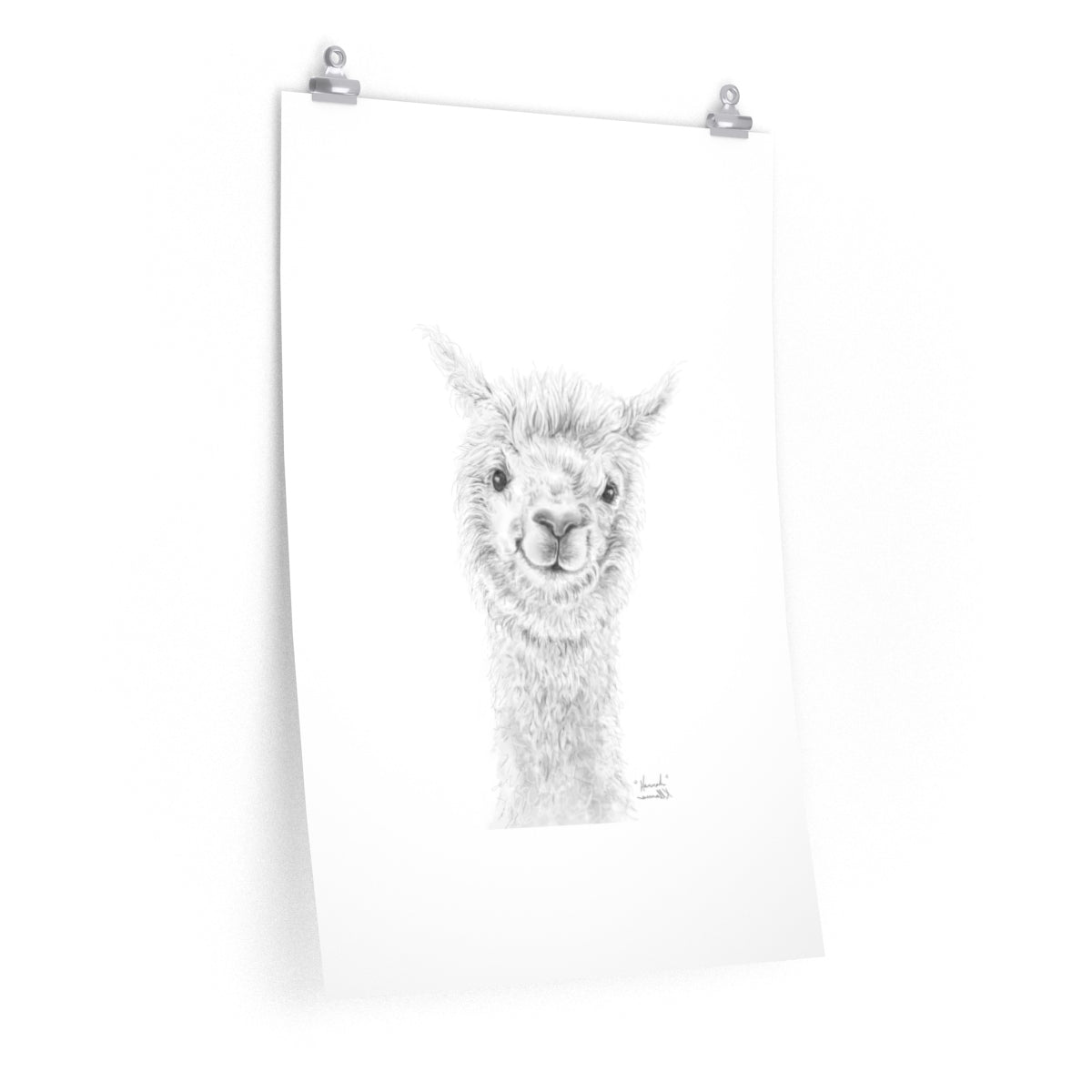 HANNAH Llama- Art Paper Print