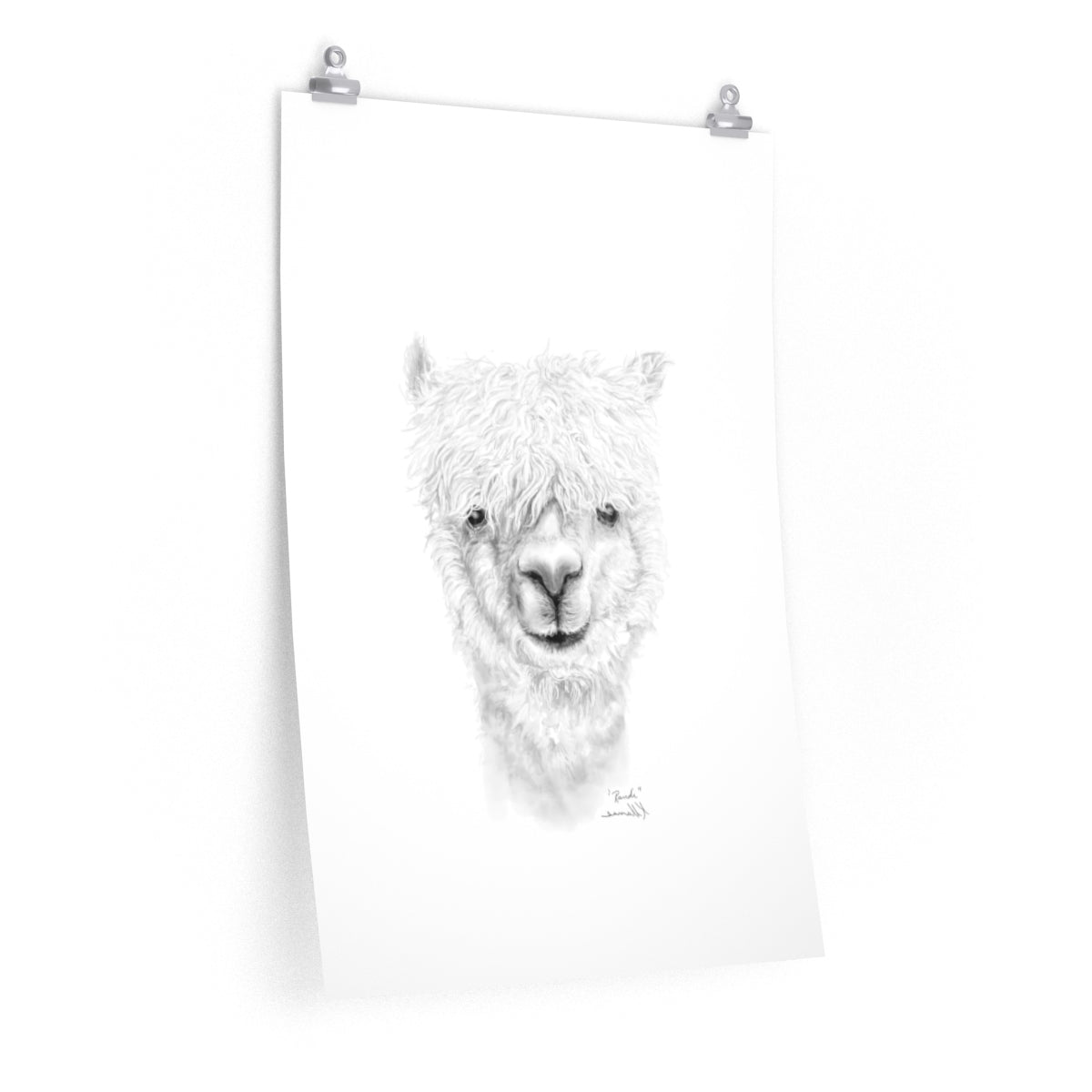 RANDI Llama- Art Paper Print