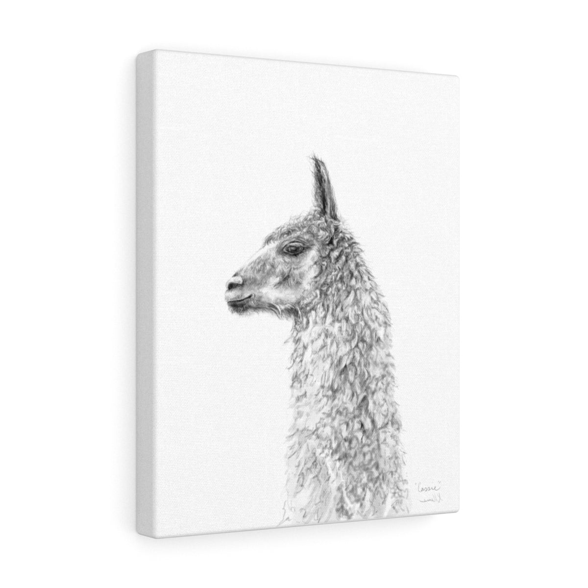 CASSIE Llama - Art Canvas
