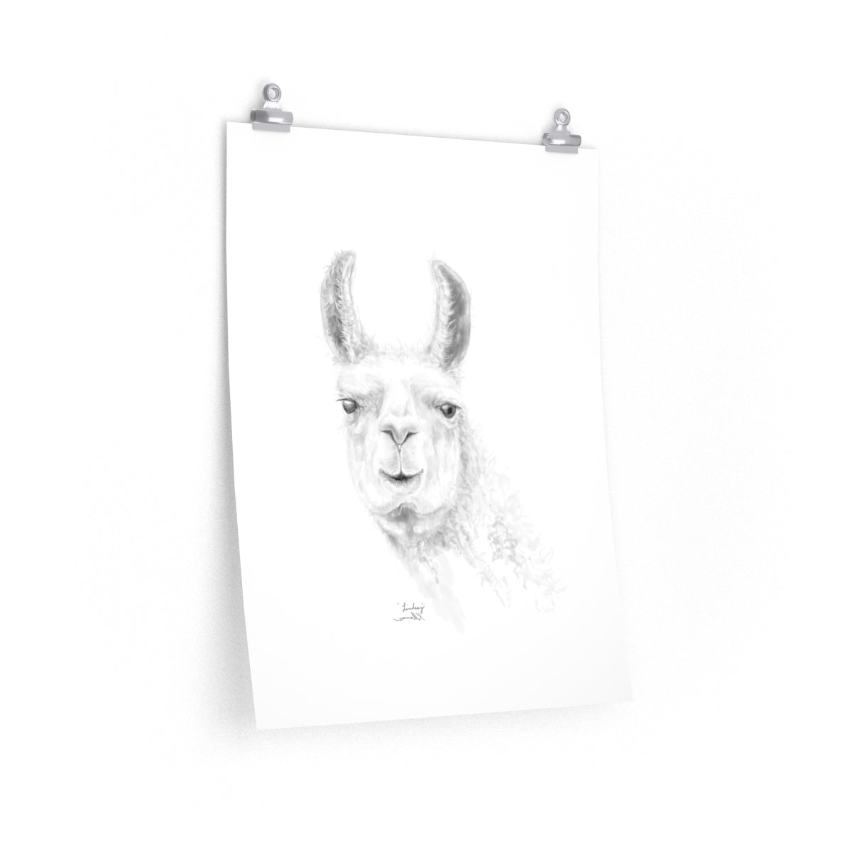 LINDSEY Llama- Art Paper Print