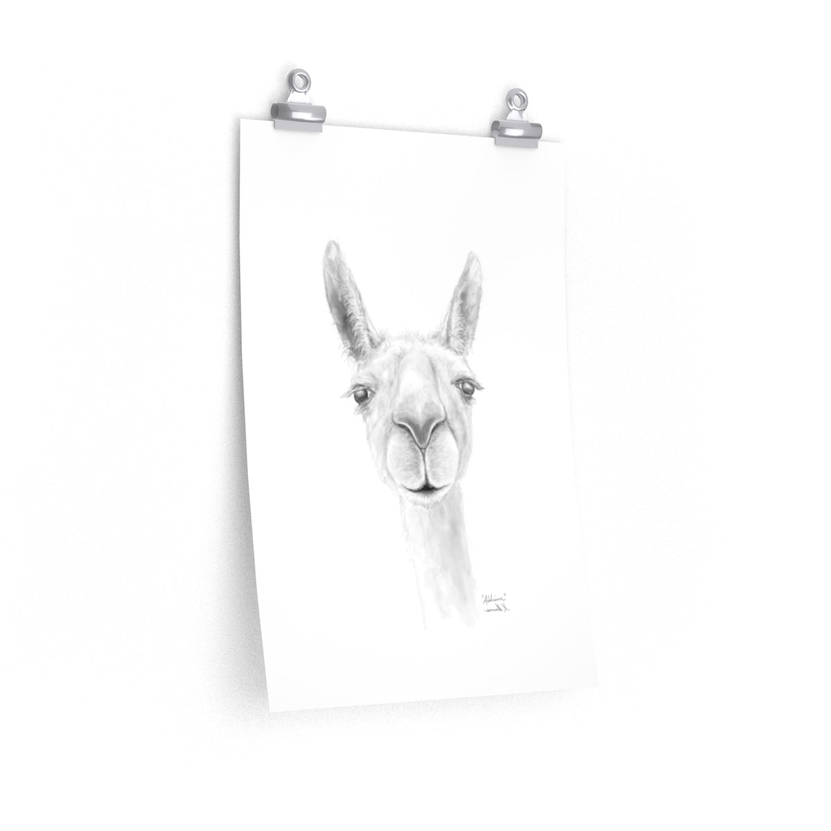ADDISON Llama- Art Paper Print