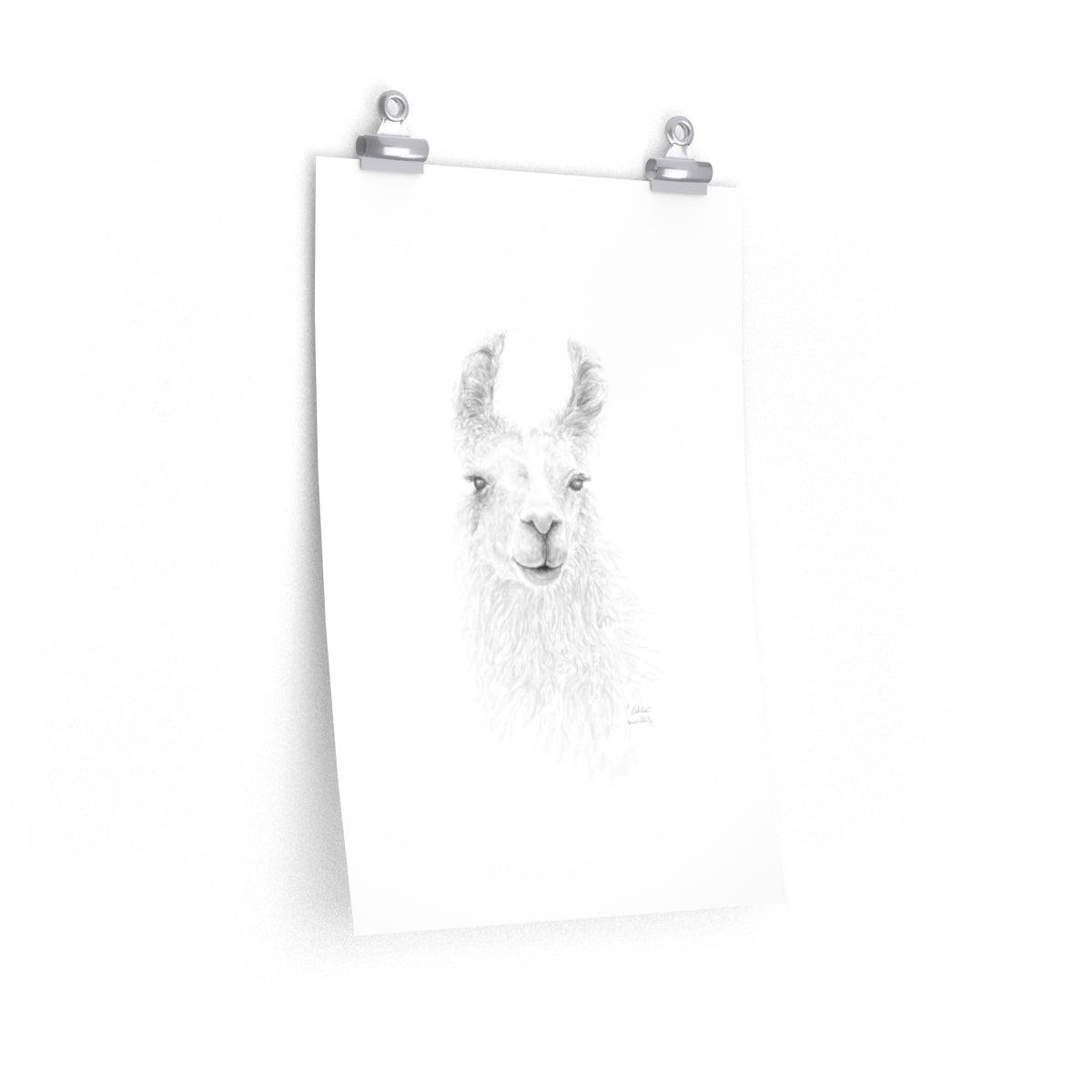 KAHLIE Llama- Art Paper Print
