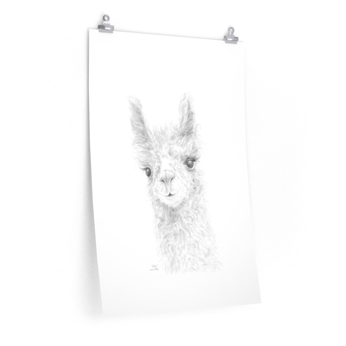 CHLOE Llama- Art Paper Print