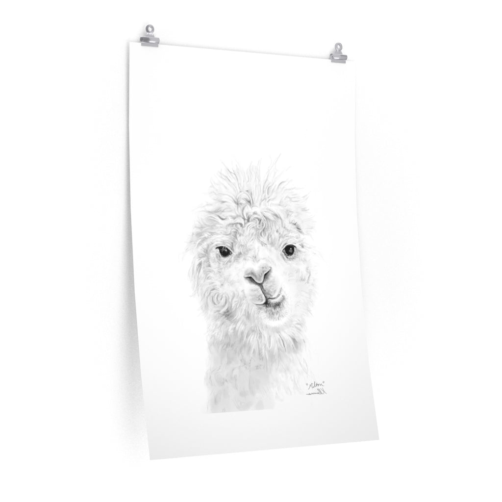 MILTON Llama- Art Paper Print
