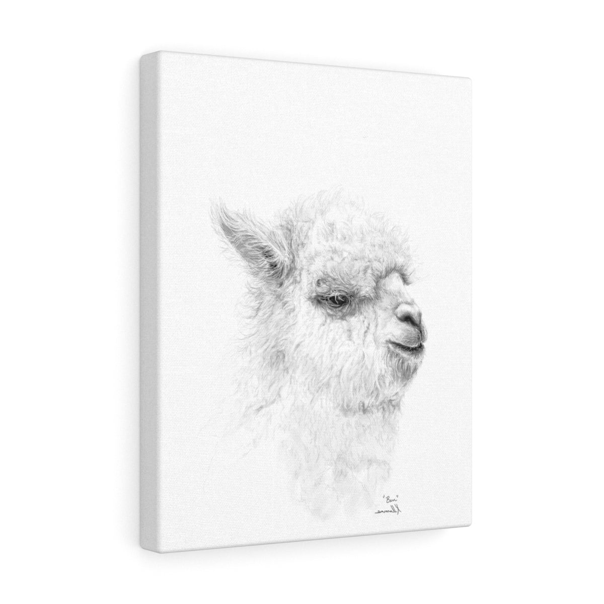 BEN Llama - Art Canvas