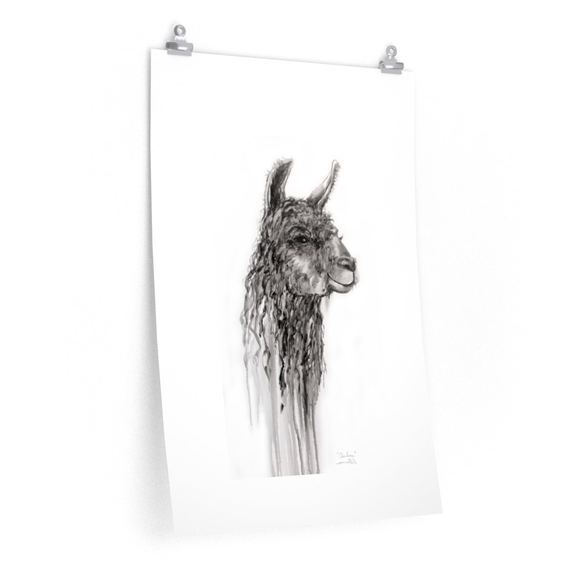 CHARLENE Llama- Art Paper Print
